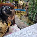 면목동-008 이미지