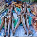 통리5일장터 이미지