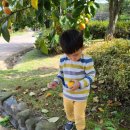 한옥마을 놀이터 이미지