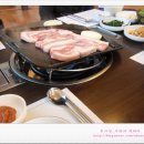 944 | 제주도 여행