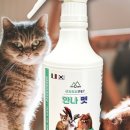 안나애견 이미지