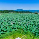 유등연지 둘레길 이미지