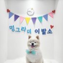 멍그라미 이발소 이미지