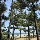 강정이기가막혀(신동점) | 우리 둘은 얼어붙지 않을거야