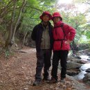 환희풍천장어 이미지