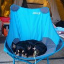 지경국민여가캠핑장 이미지