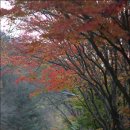 카페둥둥 - 파주시 검산로519번길 6-20 | 카페둥둥