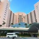 [별별클럽] Pool time | 오키나와리조트 오리엔탈 호텔 클럽룸 레스토랑 카리유시비치