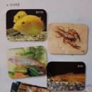 토속어류생태관 이미지