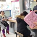 세인텔레콤 이미지