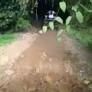 하모니리조트 이미지