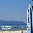 (주)에이치디엑스스카이 | 부산 가볼만한곳 엑스더스카이ㅣ해운대 360도 뷰 위시클라우드