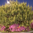 송화체육관 이미지