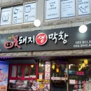 대구꽃돼지생막창