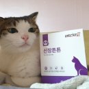 냥이멍이네 | [체험후기]펫트리온 고양이 영양제 :장건강 면역관리 신장튼튼