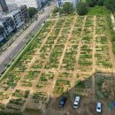 행복을 farm 이미지