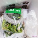 경미가소곱창전골