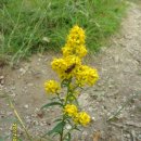 백현초등학교 이미지