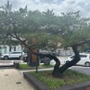 현리 광장 이미지