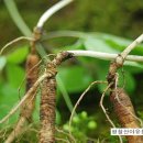 산야유통 이미지