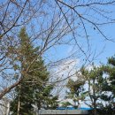 포곡어린이공원 이미지