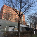 용산구 스마트폴 | 경상도 사람은 눈이랑 인연이 없나봄