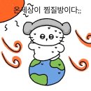 향촌1길 26 | 25.07.25.~26. 얼렁뚱땅 친구들과 여름방학 즐기기, 영월-정선 1박2일 여행 기록