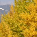 은혜동산 이미지