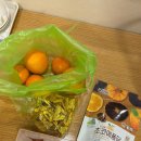 주정차59 | 12월 겨울 제주도 3박4일, 제주시청 돔베고기 맛집 내돈내산