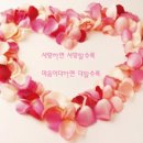 아름다운날들 이미지