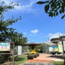 쌍둥농장 이미지