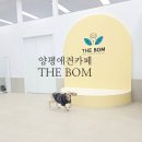 애견카페&호텔 댕댕당 | 양평 애견카페 양평 애견호텔 더봄 후기