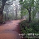 천제연휴양팬션 | 제주 2박 3일 :: 가을, 10월 제주 prologue