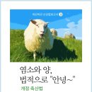 염소와 양, 이제는 법적으로 다른 동물이다. 이미지