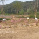 동면게이트볼장 이미지