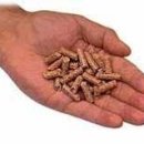 (주)라드팜 이미지