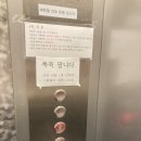 코스테펜션 | 강릉 가성비 '코스테 오션뷰 애견펜션' 내돈내산 후기(산책 장소 정보 포함)