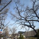 현대유리유치원 | [국현미] 현대미술계의 악동, 데이미언 허스트 전시 관람 후기(※스포가득주의)