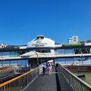 용인대태권도 이미지