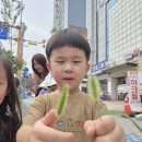 7-3 아이스크림 / 산책 / 달팽이알 / 거미 이미지