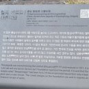 칠곡 기성리 삼층 석탑 | 칠곡 기성리 삼층석탑