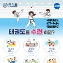 국일태권도장 네이버블로그
