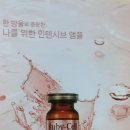 바디케어바이연진