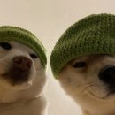 뽑기오빠 뽑기언니 이미지