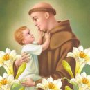 2024년 6월 13일 목요일파도바의 성 안토니오 사제 학자 기념일 『‘하느님 사랑’과 ‘이웃 사랑’은 동시에 이루어져야 합니다.』 이미지