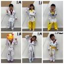 한솔태권도장 이미지