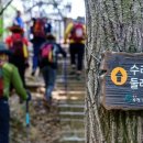 수리산둘레길 이미지