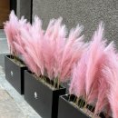 에이유(AU)호텔 이미지