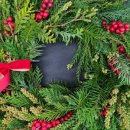 범어초교병설 이미지