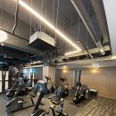 골져스 피트니스 이미지